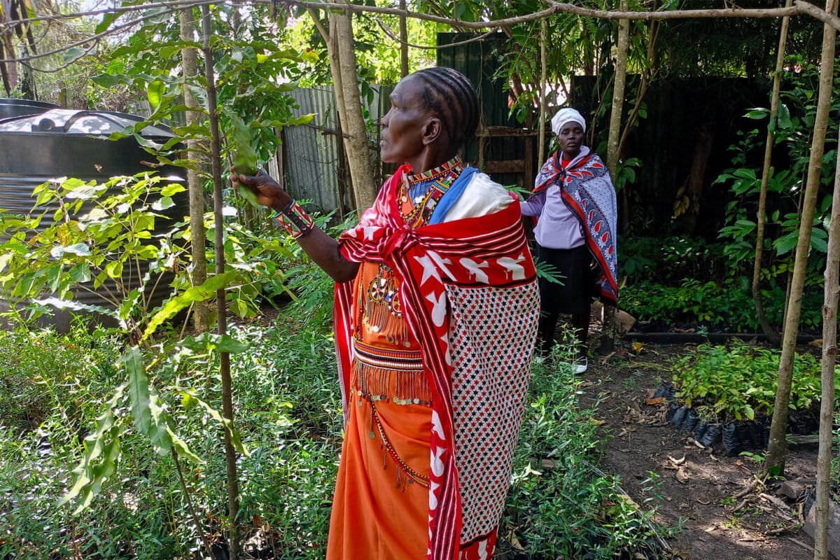 Meet the Indigenous women restoring Kenya’s Mau Forest, reshaping gender roles