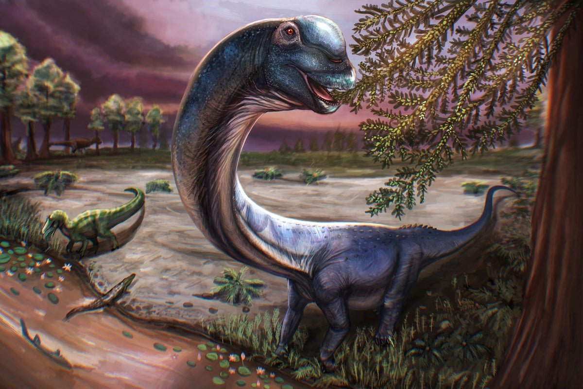 Massive dinosaur found in Thailand becomes largest fossil unearthed in Southeast Asia