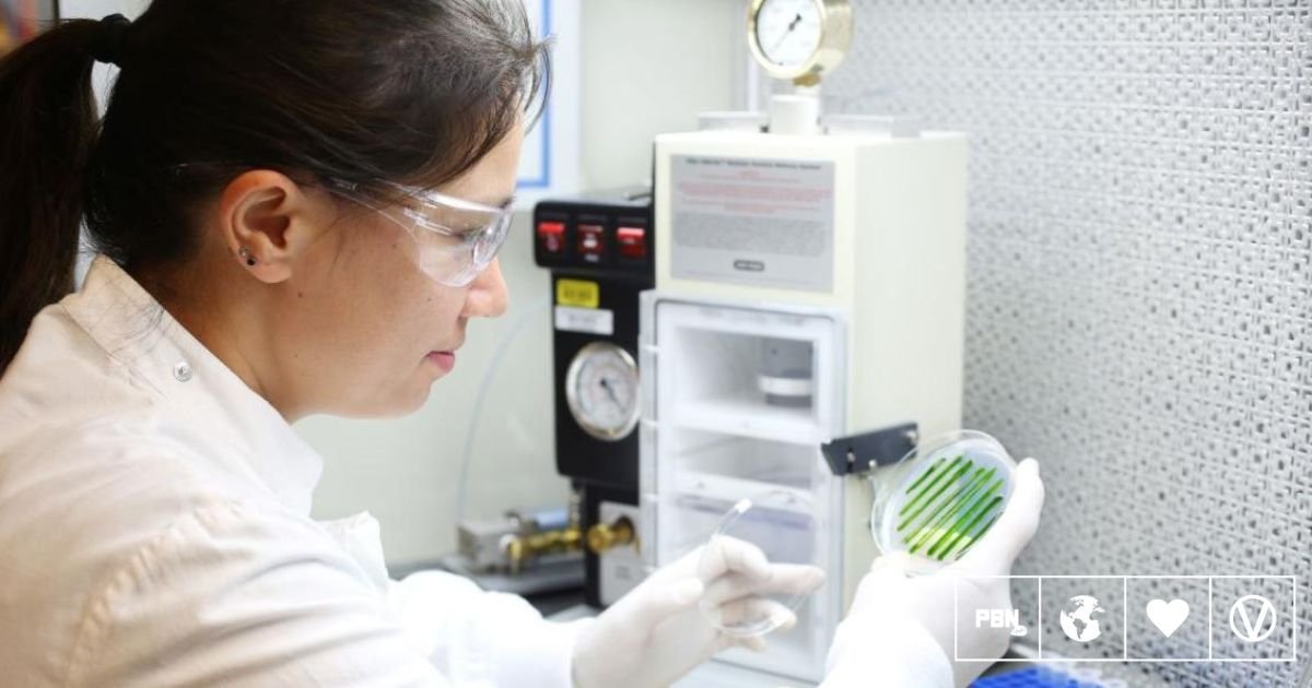 Scientists Grow Microalgae From Cultivated Meat Production Waste For Next-Level Efficiency
