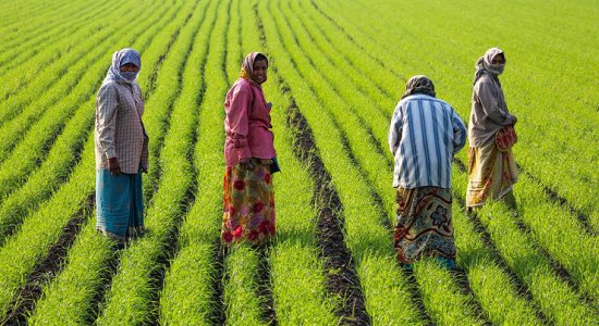 Paani Foundation’s Water Cup Transforms Community Watershed Restoration in Maharashtra Across Thousands of Villages