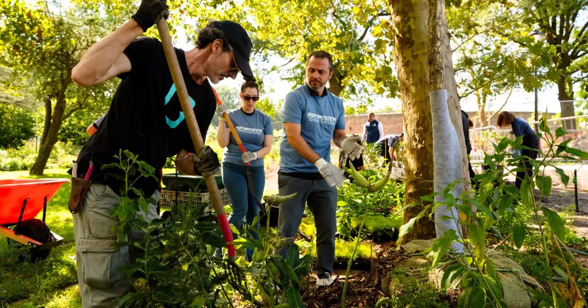 In effort to achieve 1M good deeds in remembrance of 9/11, thousands of trees will be planted in US