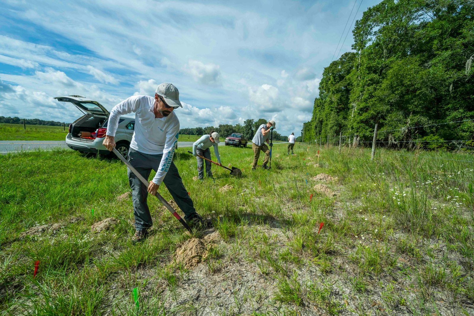 Butterfly experts are planting 15,000 milkweed plants to help monarchs