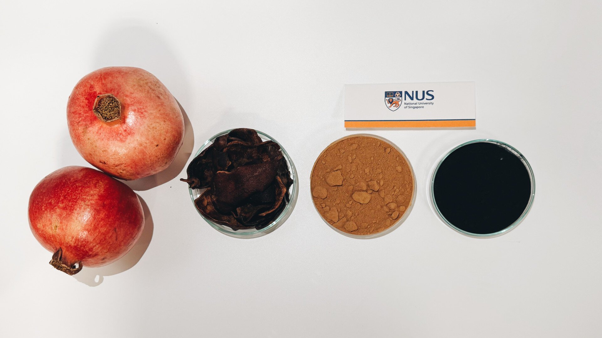 Researchers upcycle pomegranate peel into high-performance water purifier