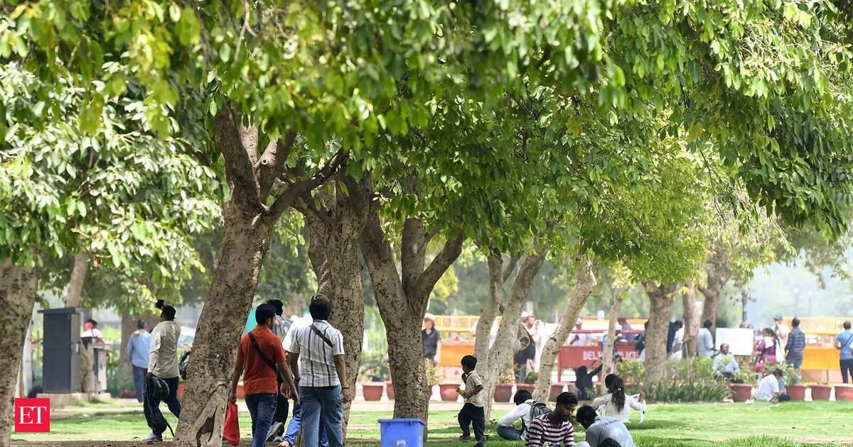 India restores 21.76 million hectares of deforested land, nears 84 per cent of Bonn Challenge target