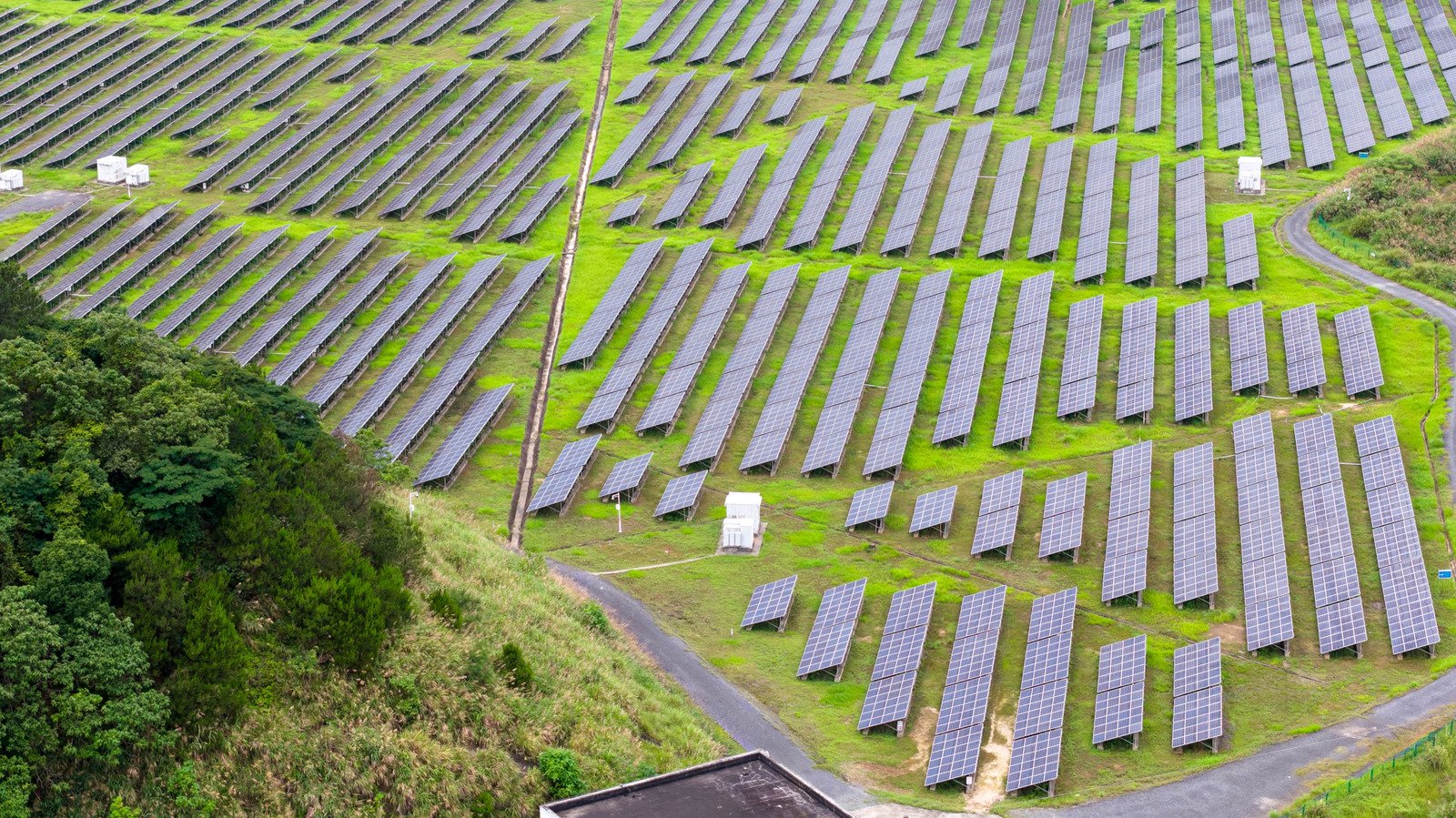 A Solar Farm In Oregon Is Building A Massive Wildlife Corridor For Migrating Deer And Elk - BGR