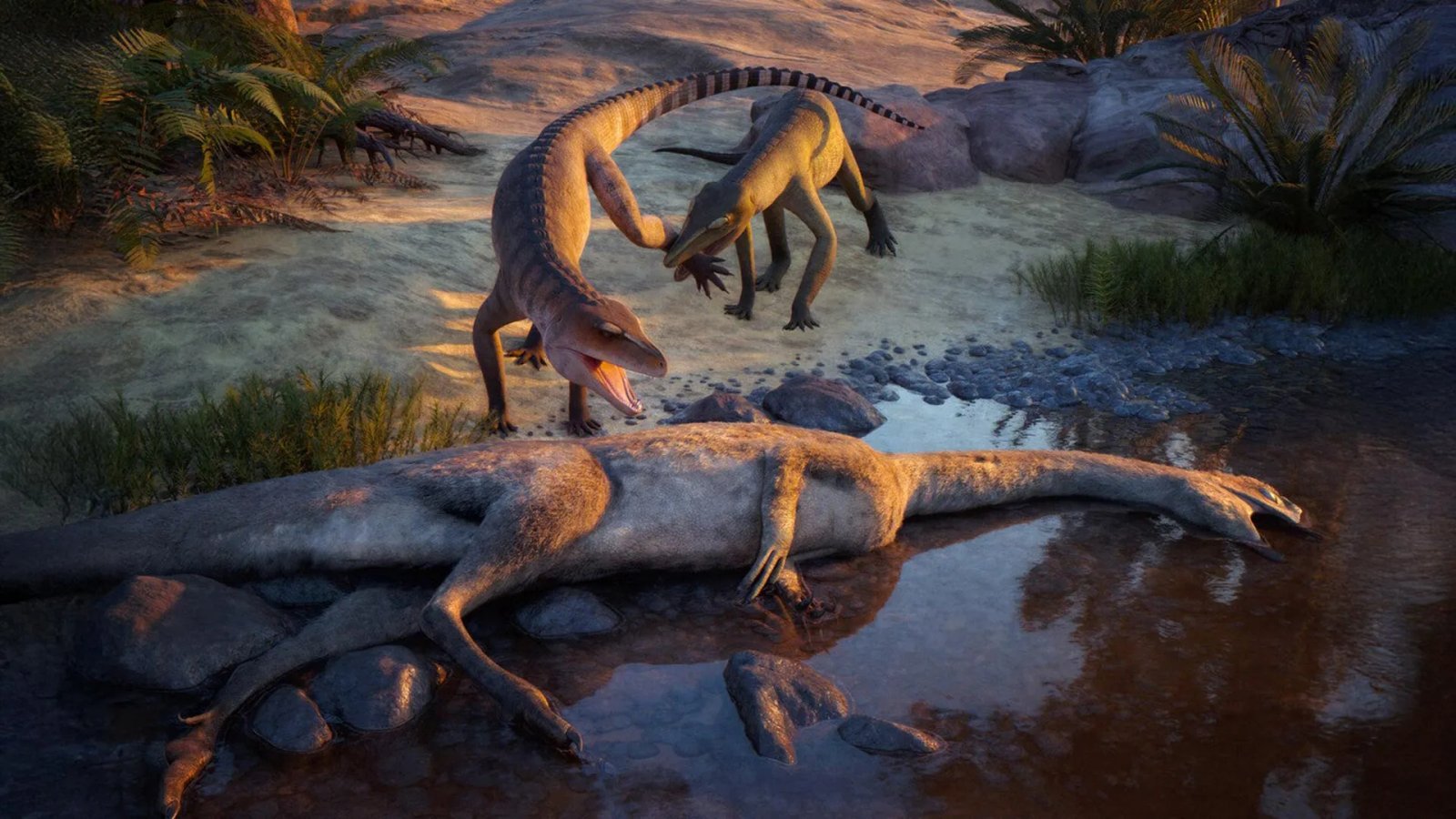 A forgotten fossil just revealed a new Triassic predator from 210 million years ago