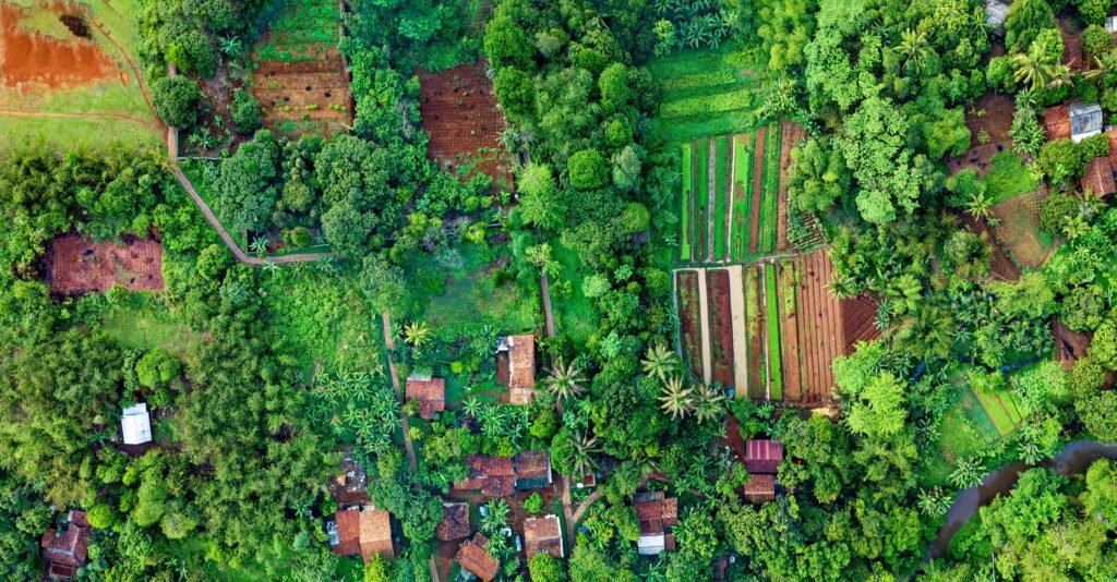Mainstreaming of Biodiversity Across Economic Sectors Helps 15 Countries Align Development with Nature