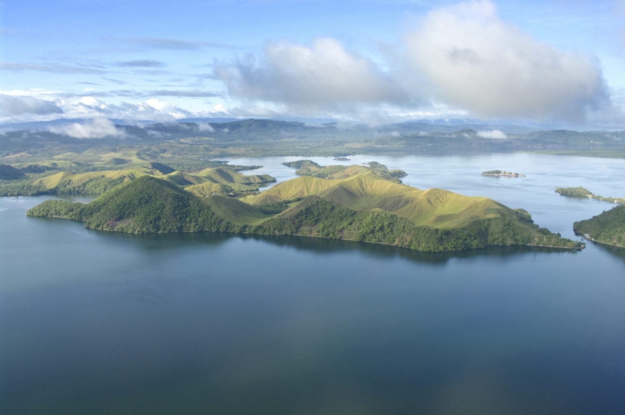 How shark tracking data shaped Papua New Guinea’s ocean sanctuary | The Optimist Daily