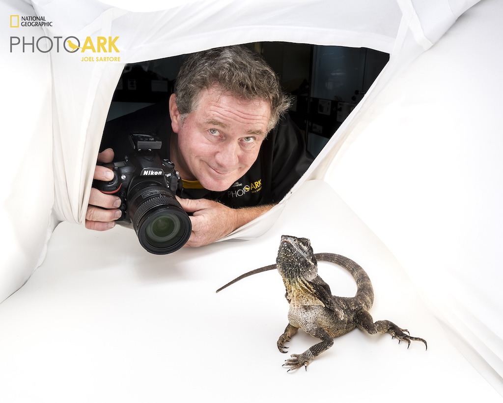 As Photo Ark turns 20, Joel Sartore photographs 18,000 animal species